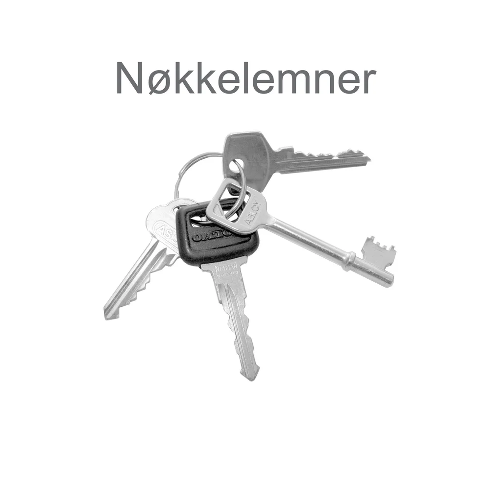 NØKKELEMNE ASS52R (HH) v:1970156