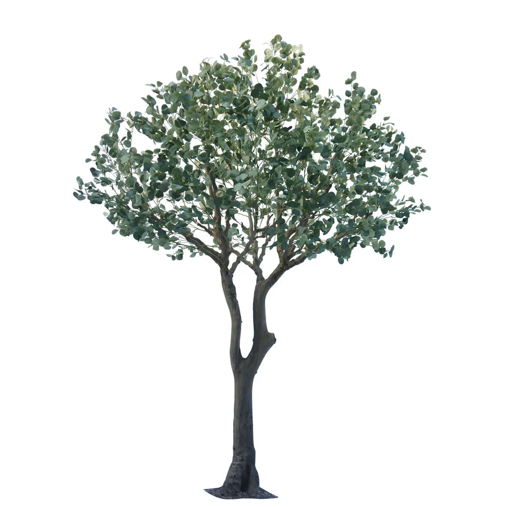 Eucalyptus tre kunstig v:3515730