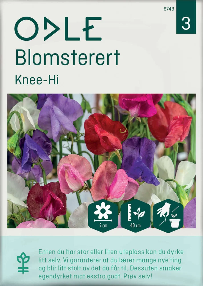 Odle 'Knee-Hi' blomsterert frø v:7566064 Odle 'Knee-Hi' blomsterert frø v:7566064