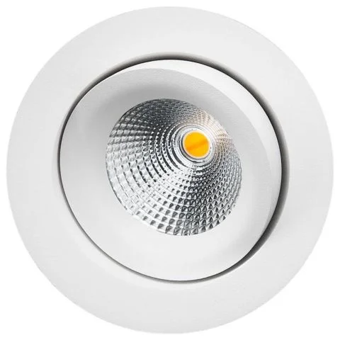 Isosafe DTW SG Armaturen Downlight 28110938
