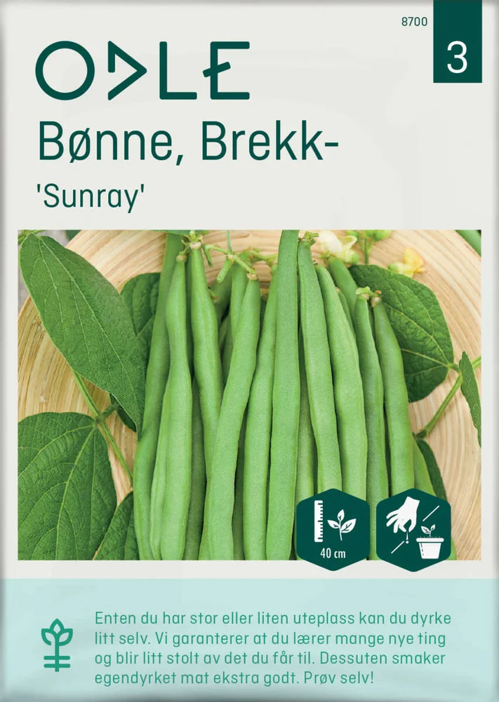 Odle 'Sunray' brekkbønne frø v:9785685 Odle 'Sunray' brekkbønne frø v:9785685