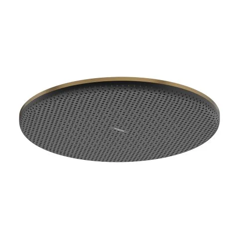 Raindance Alive S Hansgrohe Hodedusj 4080674 Raindance Alive S Hansgrohe Hodedusj 4080674