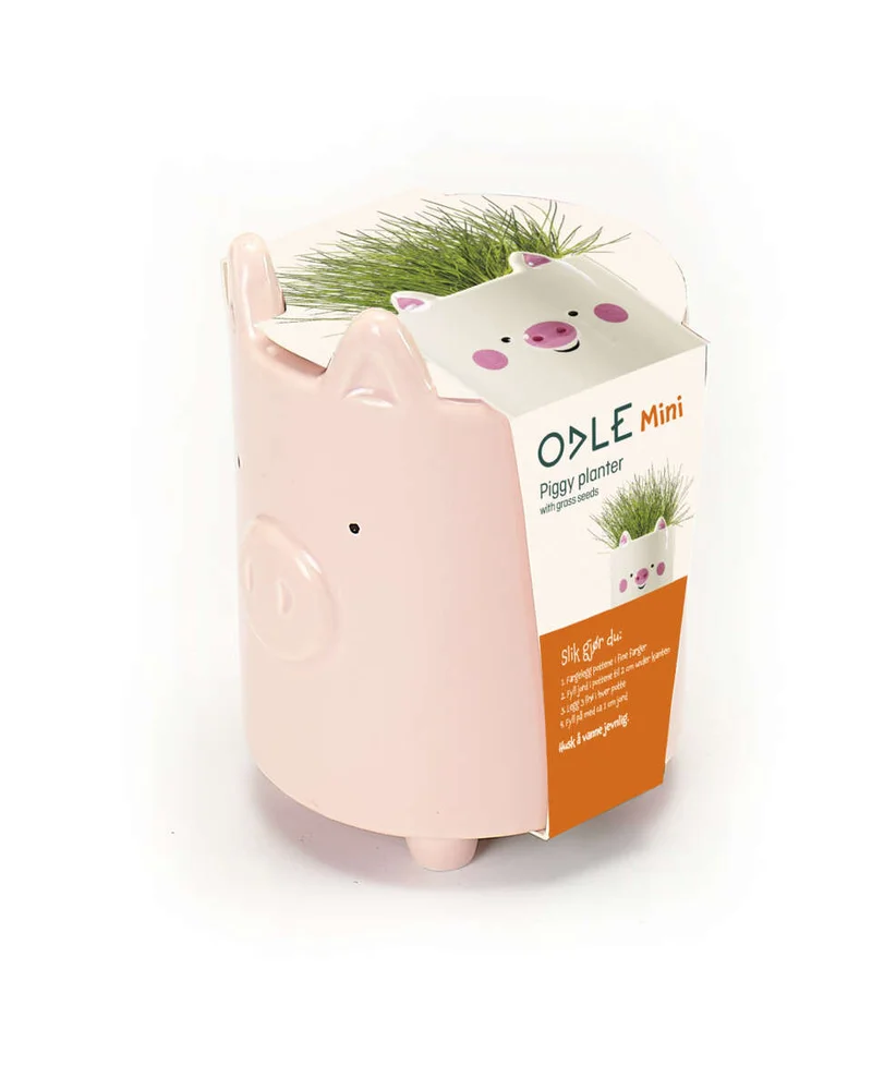 Odle gris potte med karsefrø v:7055123