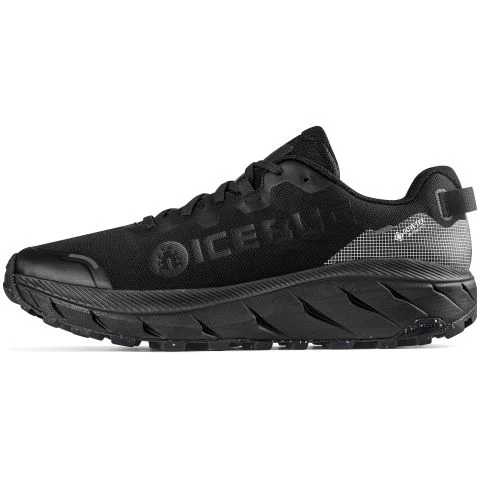 Arcus 2 RB9X GTX Icebug Yrkesko 4051230