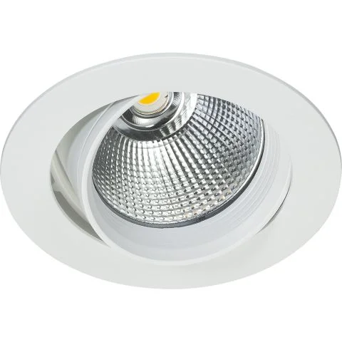 Silver Easyform Downlight 3043450