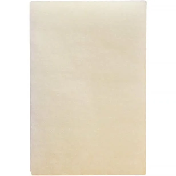 Wood's Filter Hace, 4-pakke v:3919007