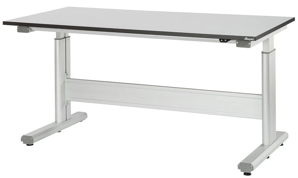 GIGANT BORD FLEX 250 LAM. L 2000X800 v:6676967