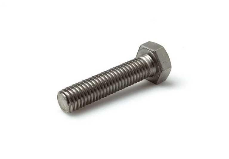 SCHÄFER + PETERS DIN933 A4-80 SKTSKR M10X 55 v:7484384