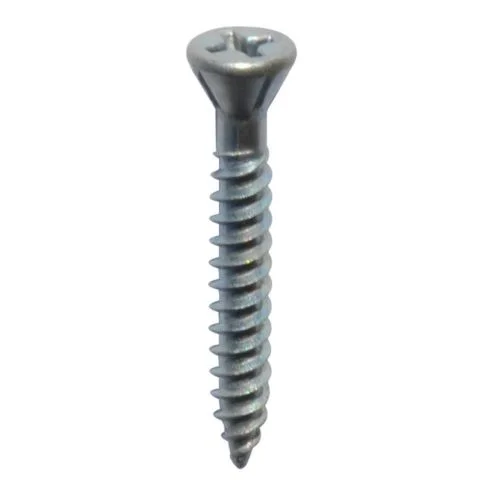 112905 Grabber Sokkelskrue 3000613