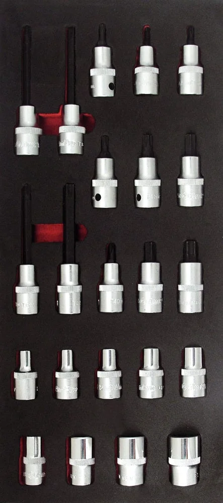 AMPRO PIPESETT TORX 1/2" 22 DELER v:8743940 AMPRO PIPESETT TORX 1/2" 22 DELER v:8743940